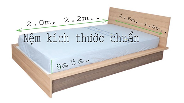 kich thuoc chuan dem bong ep everon