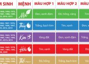 chon-mau-chan-ga-goi-dem-theo-phong-thuy