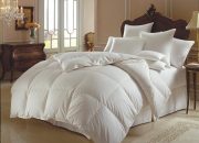 bo chan ga goi mot mau don gian