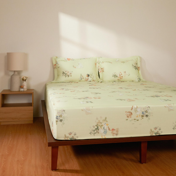 Bộ ga chun CPT26202