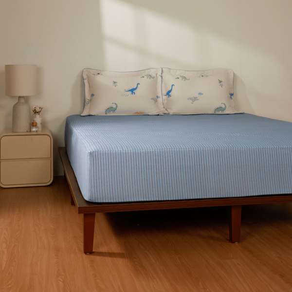 Bộ ga chun CPC26204 Bộ ga chun CPC26204