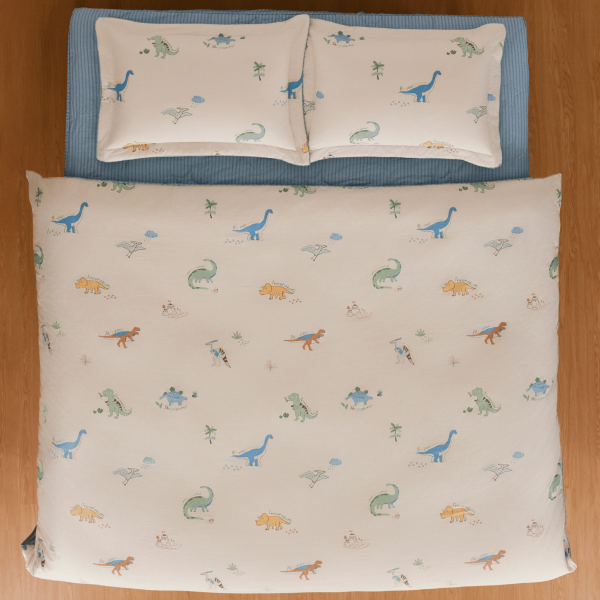 Bộ chăn ga CPC26204