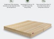 Đệm bông ép Artemis