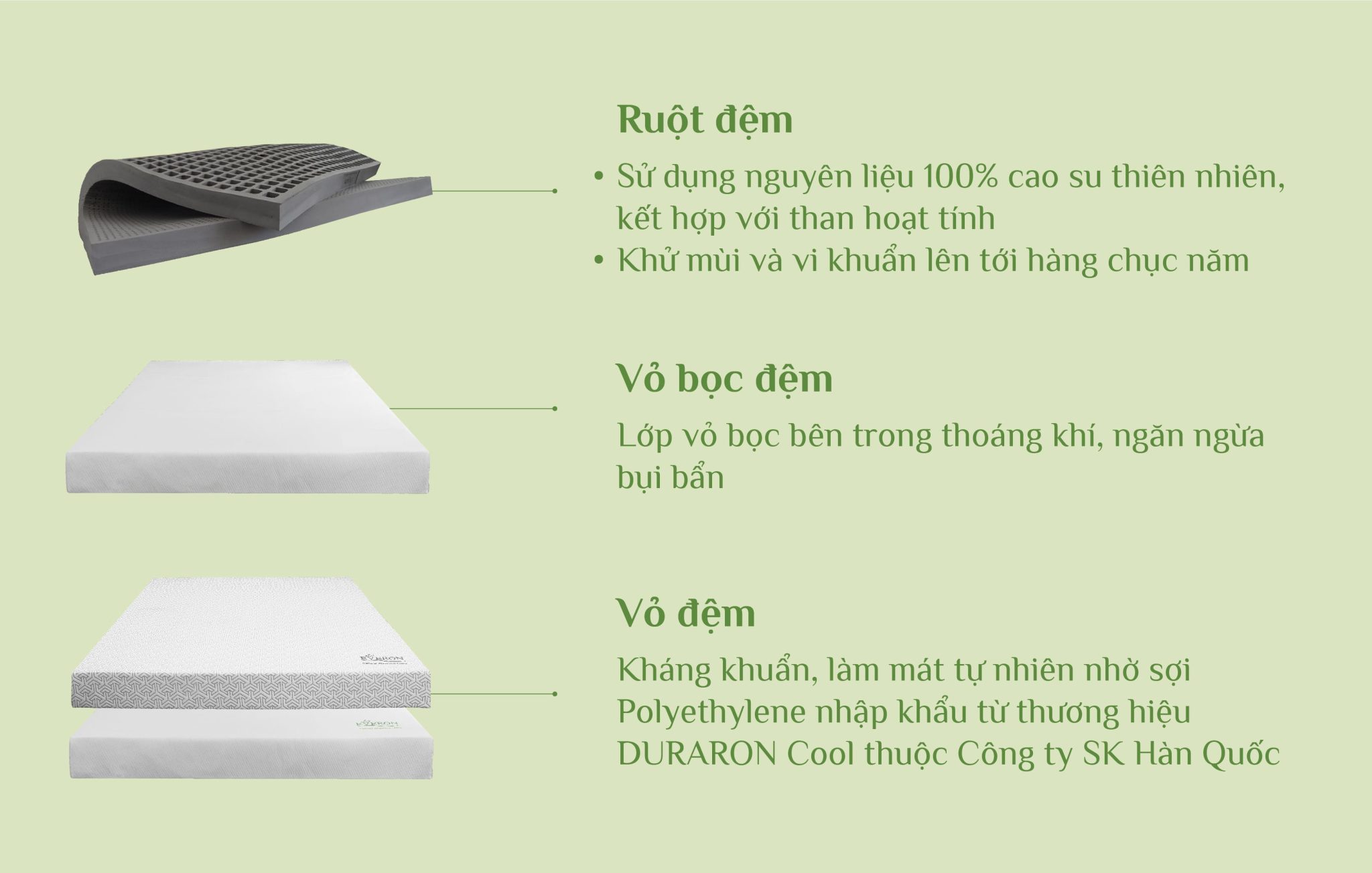 Cấu trúc ruột đệm cao su than hoạt tính Everon