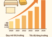 Sơ đồ tăng trưởng thị trường chăn ga gối đệm tại Việt Nam giai đoạn 2020 - 2025